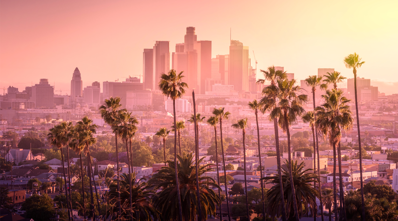 Landscape view of the LA skyline with palm trees and a sunset to support Skanska article