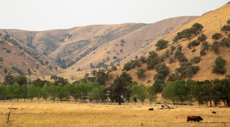 Kern County, California's mountains and trees to support Solar-Plus-Storage article