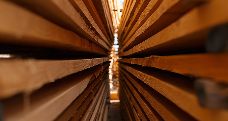 Boards on timber mill warehouse outdoor, nobody
