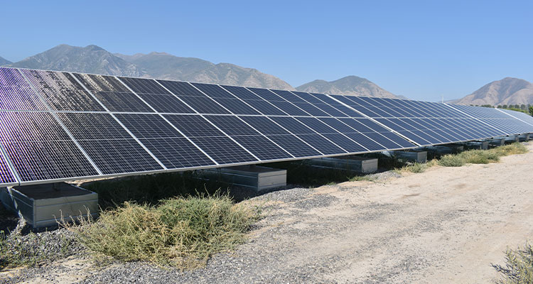 From local lights to national energy grids, Skyline Electric sparks lasting impact a large array of solar panels