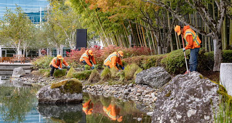 commercial landscapers maintaining a business park pond area.