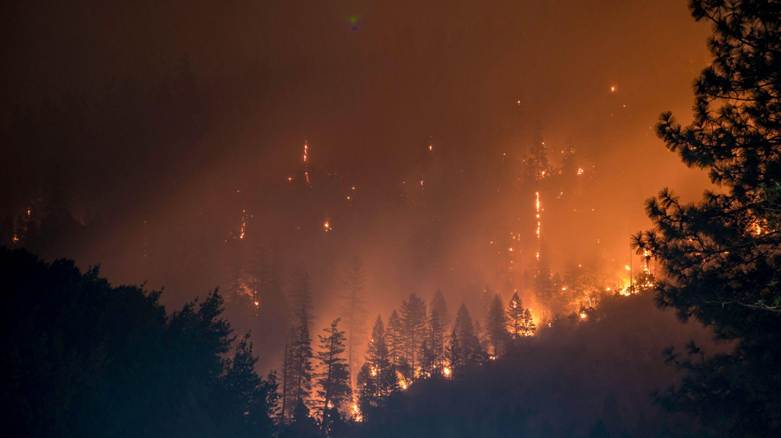 Wildfire-Scarred Slopes